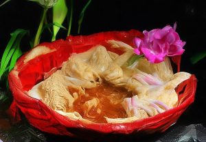 哈兰德的崛起：从挪威小镇到欧洲足球巨星的传奇旅程